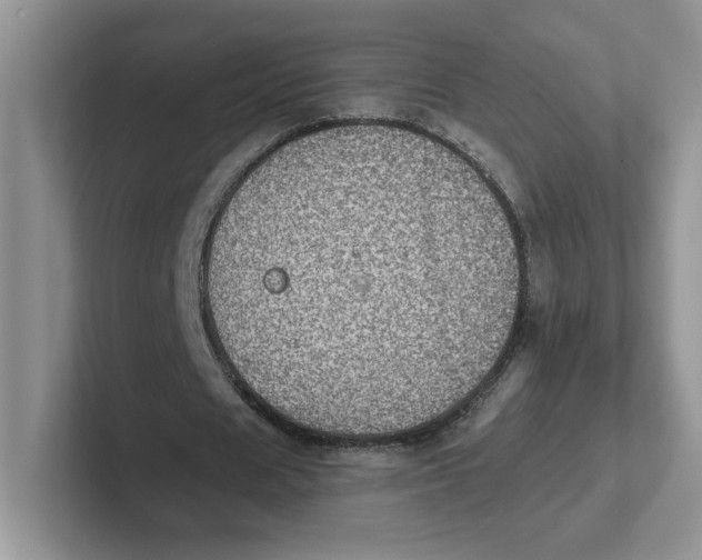 X0000101710625200807311452