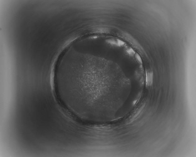 X0000101710627200807311452