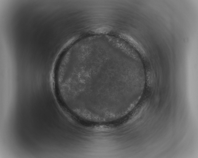 X0000101710634200807311452