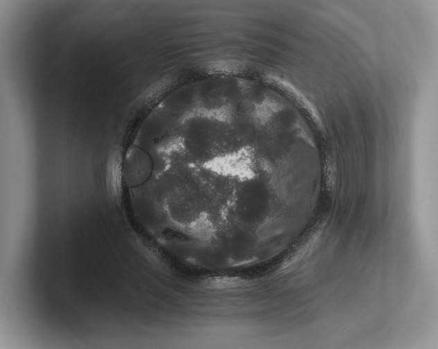 X0000101710637200807311452