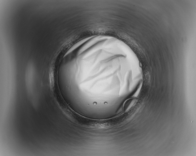 X0000101710638200807311452