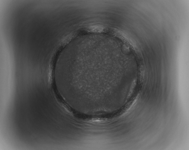 X0000101710641200807311452