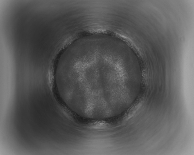 X0000101710642200807311452