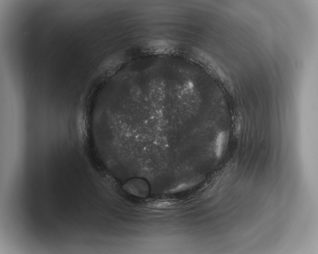 X0000101710643200807311452