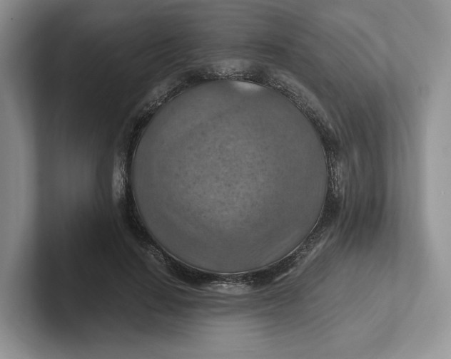 X0000101710644200807311453