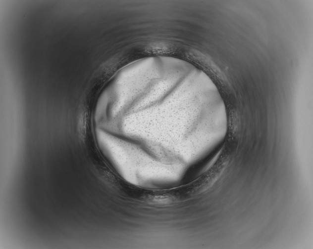 X0000101710645200807311453