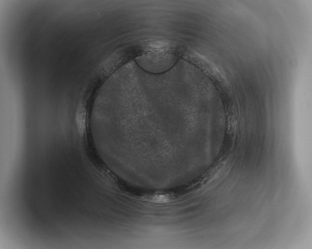 X0000101710647200807311453