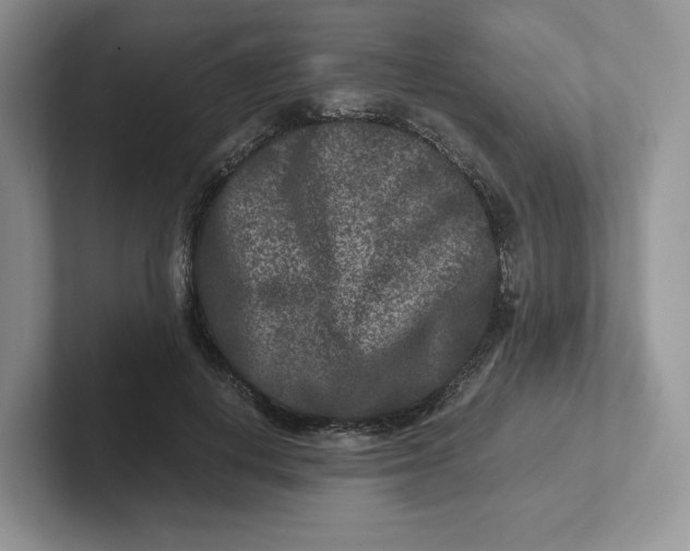 X0000101710648200807311453