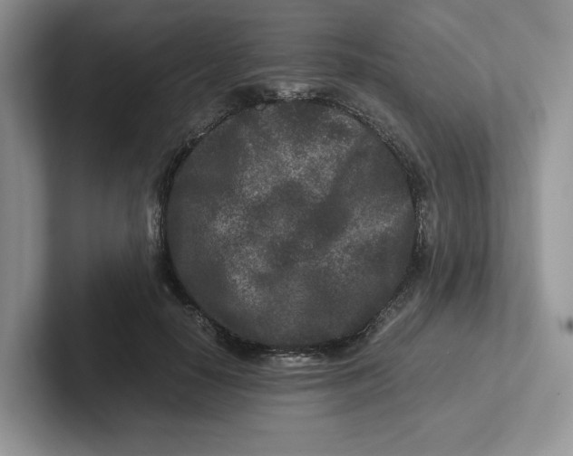 X0000101710650200807311453