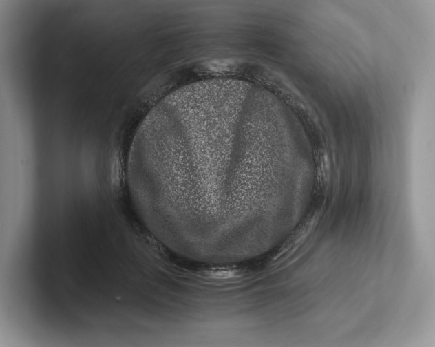 X0000101710651200807311453