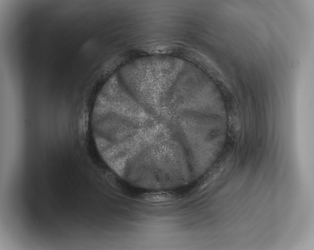 X0000101710652200807311453