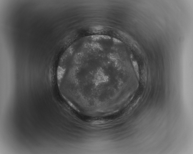 X0000101710653200807311453