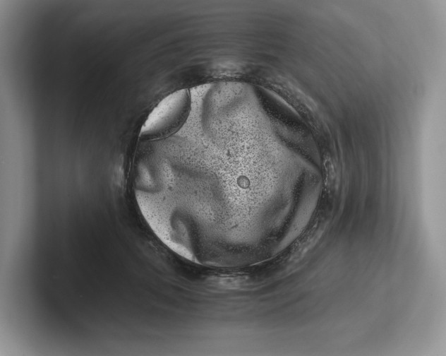 X0000101710655200807311453