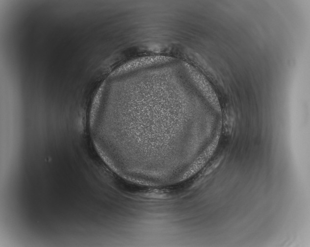 X0000101710656200807311453