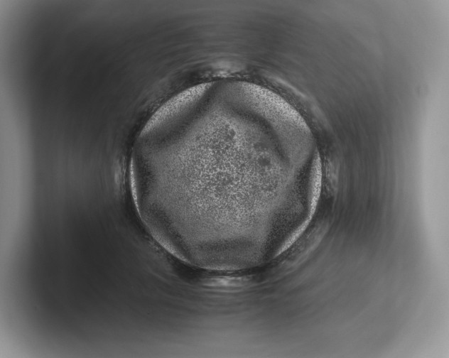 X0000101710657200807311453