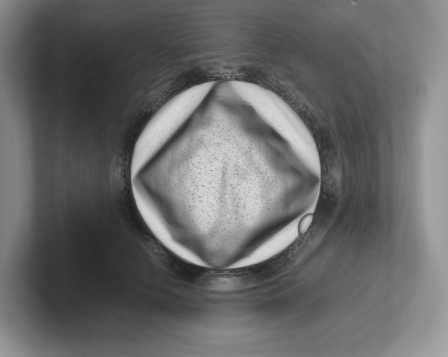 X0000101710658200807311453