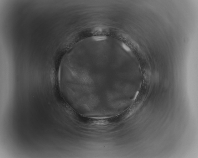 X0000101710659200807311453