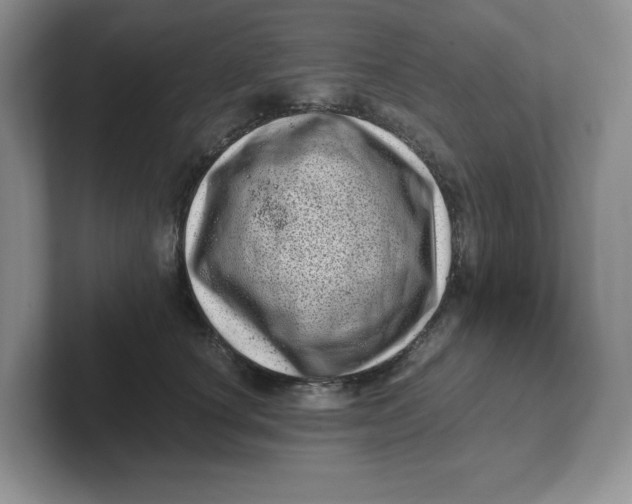 X0000101710660200807311453