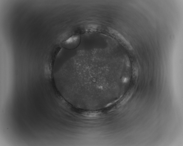 X0000101710661200807311453