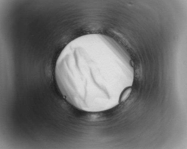 X0000101710662200807311453