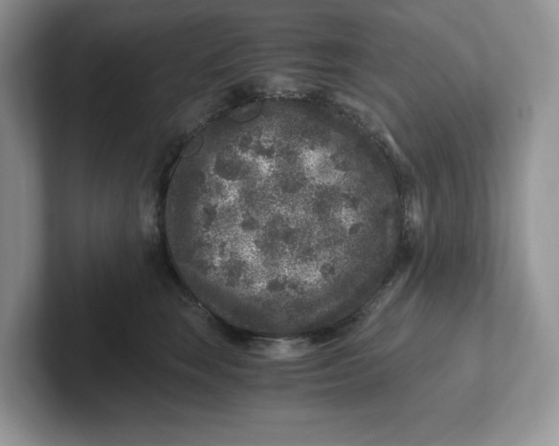 X0000101710663200807311453