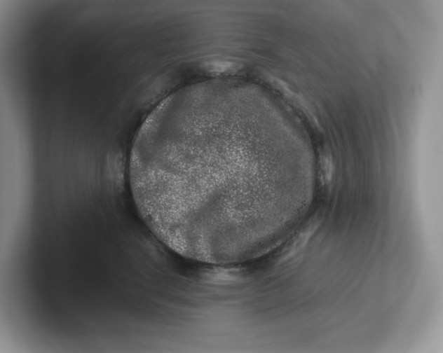 X0000101710664200807311453