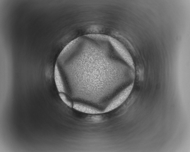 X0000101710665200807311453