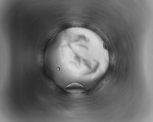 X0000101710666200807311453