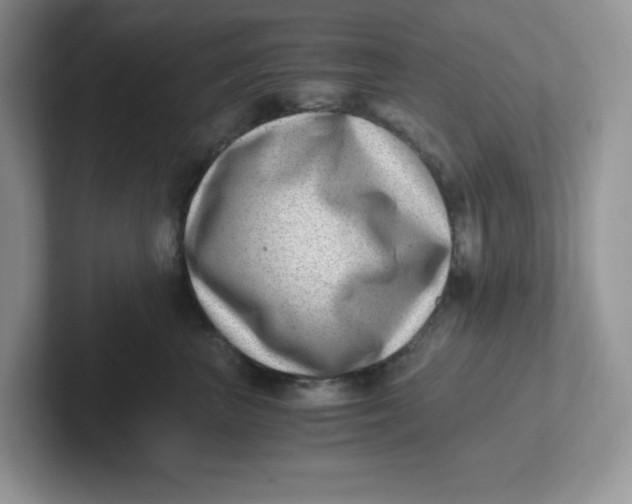 X0000101710667200807311453