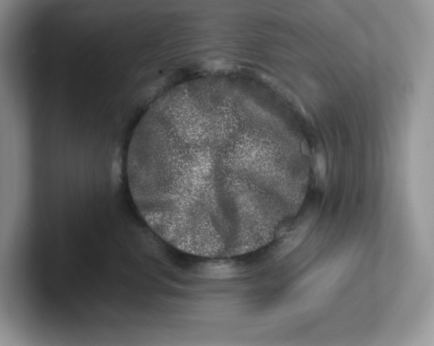 X0000101710668200807311453