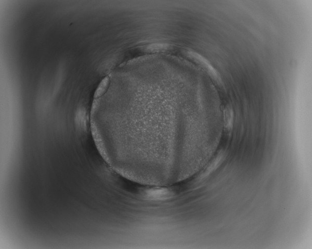 X0000101710669200807311453