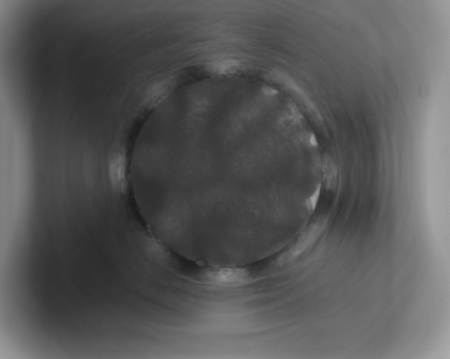 X0000101710670200807311453