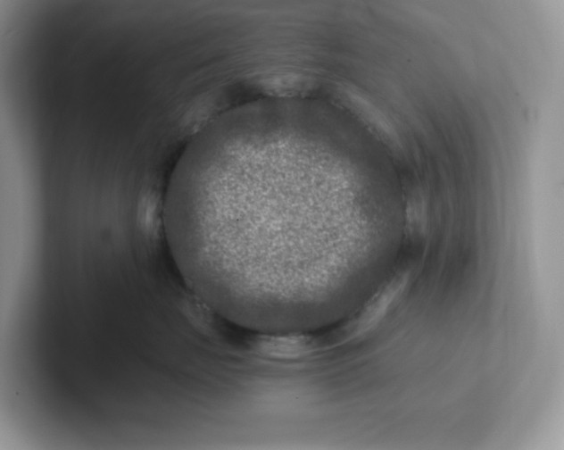 X0000101710671200807311453