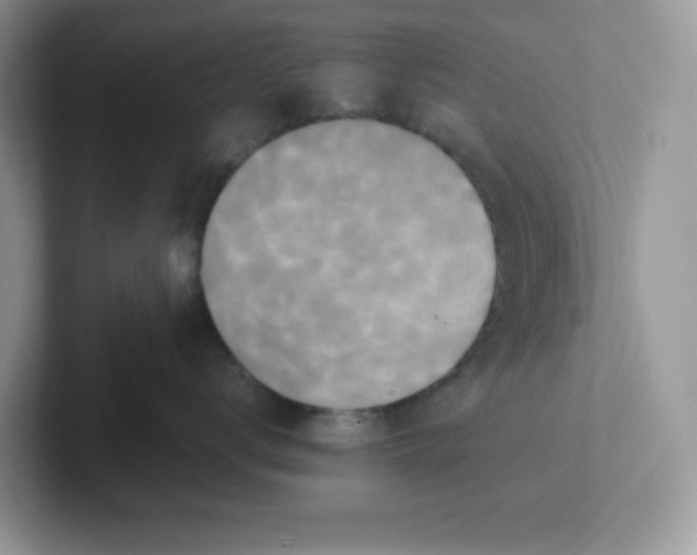 X0000101710672200807311453