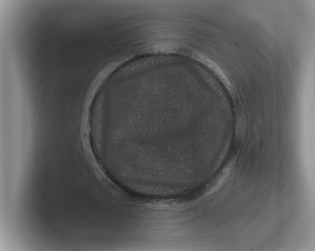 X0000101710673200807311452