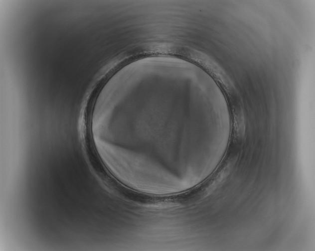 X0000101710674200807311452