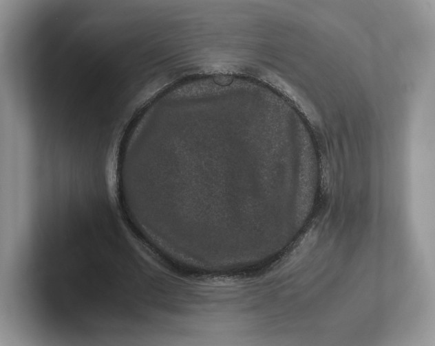 X0000101710677200807311452