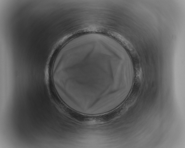 X0000101710678200807311452