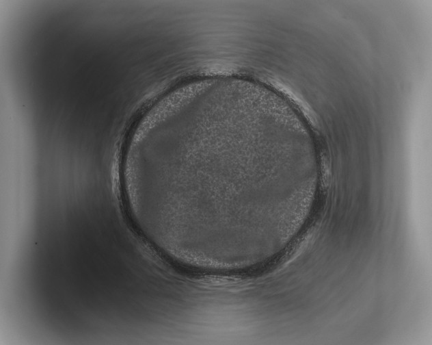 X0000101710681200807311452