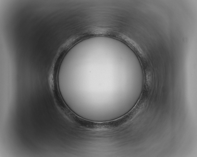 X0000101710682200807311452