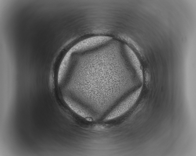 X0000101710684200807311452