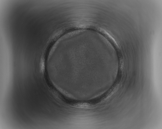 X0000101710685200807311452