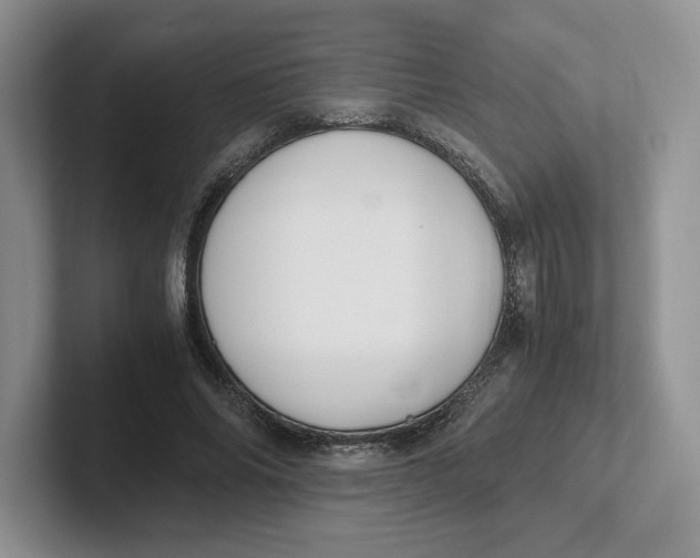 X0000101710686200807311452