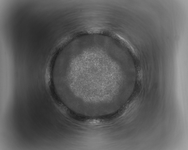 X0000101710687200807311452