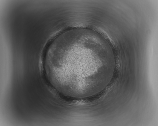 X0000101710688200807311452