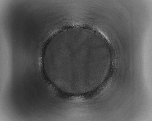 X0000101710689200807311452