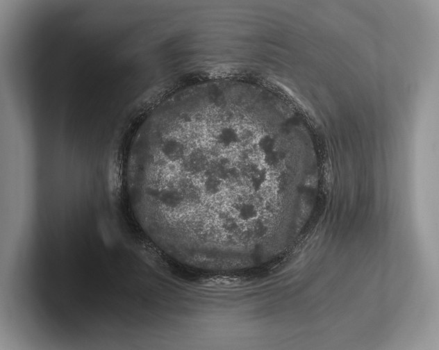 X0000101710691200807311452