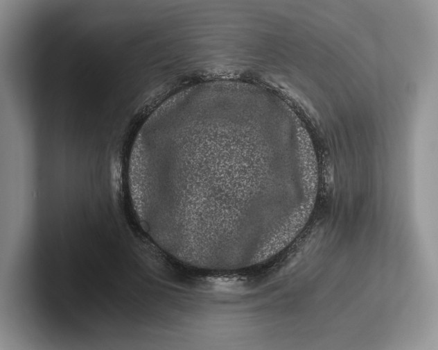 X0000101710693200807311452