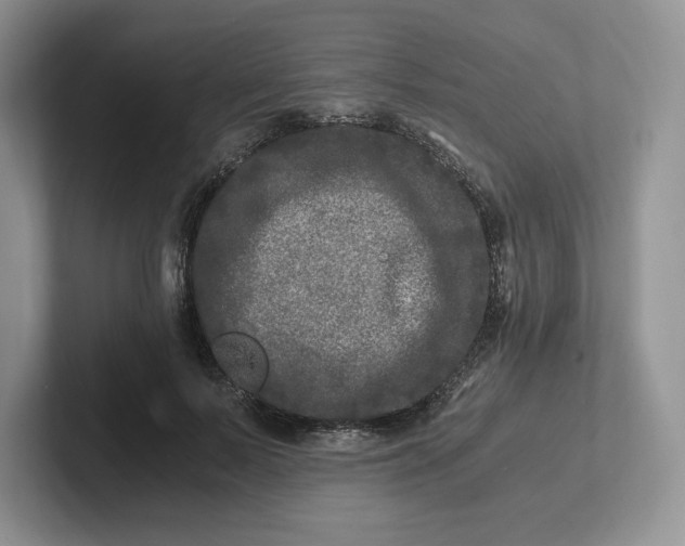 X0000101710695200807311452