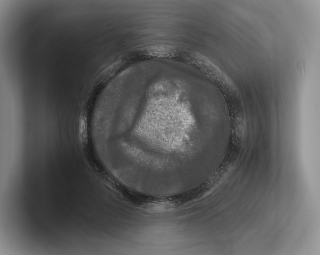 X0000101710696200807311452